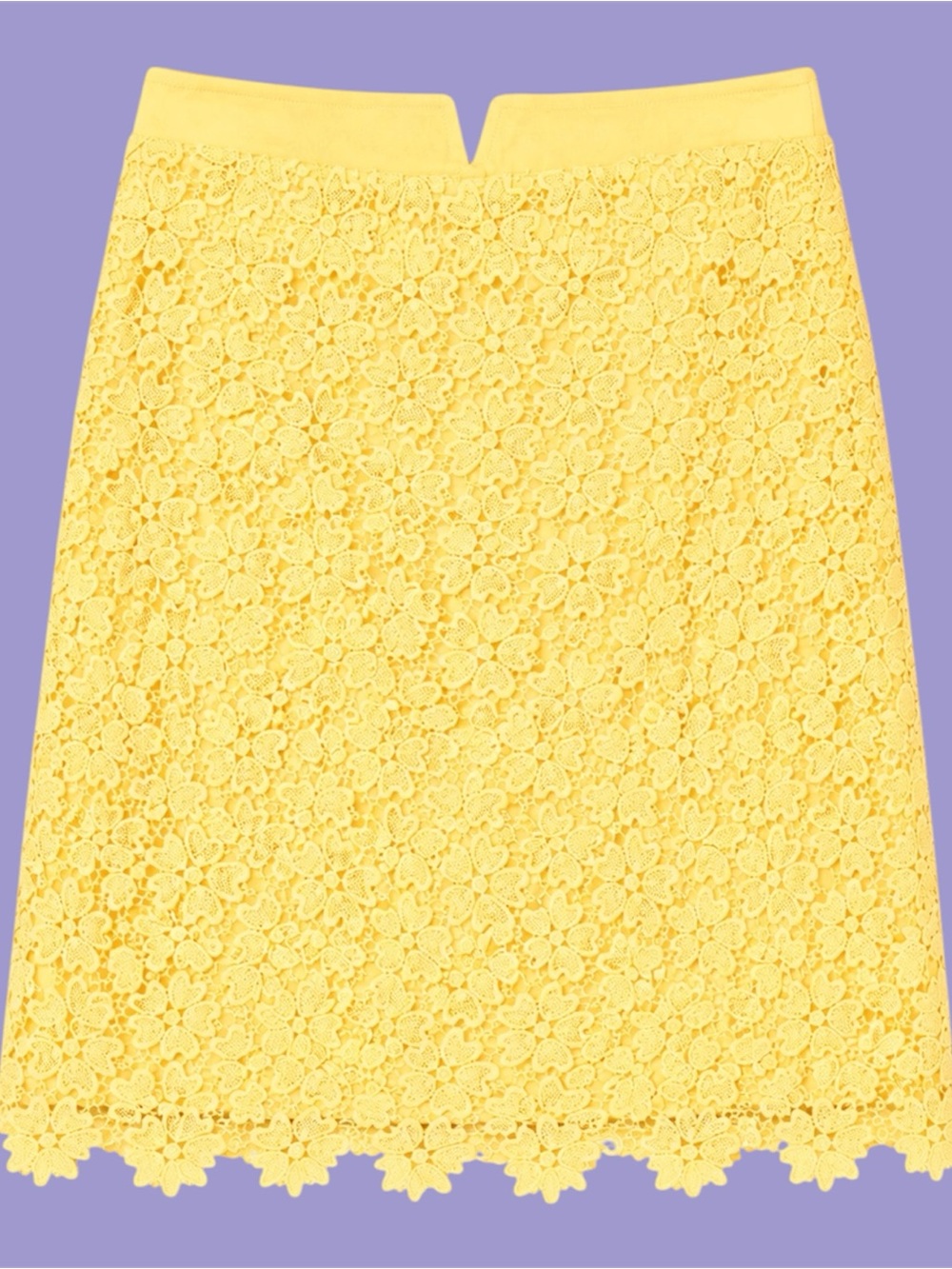 Anthropologie Tan Lace Pencil Skirt